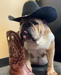 Louis is a Rootin' Tootin', Cowboy Shootin'