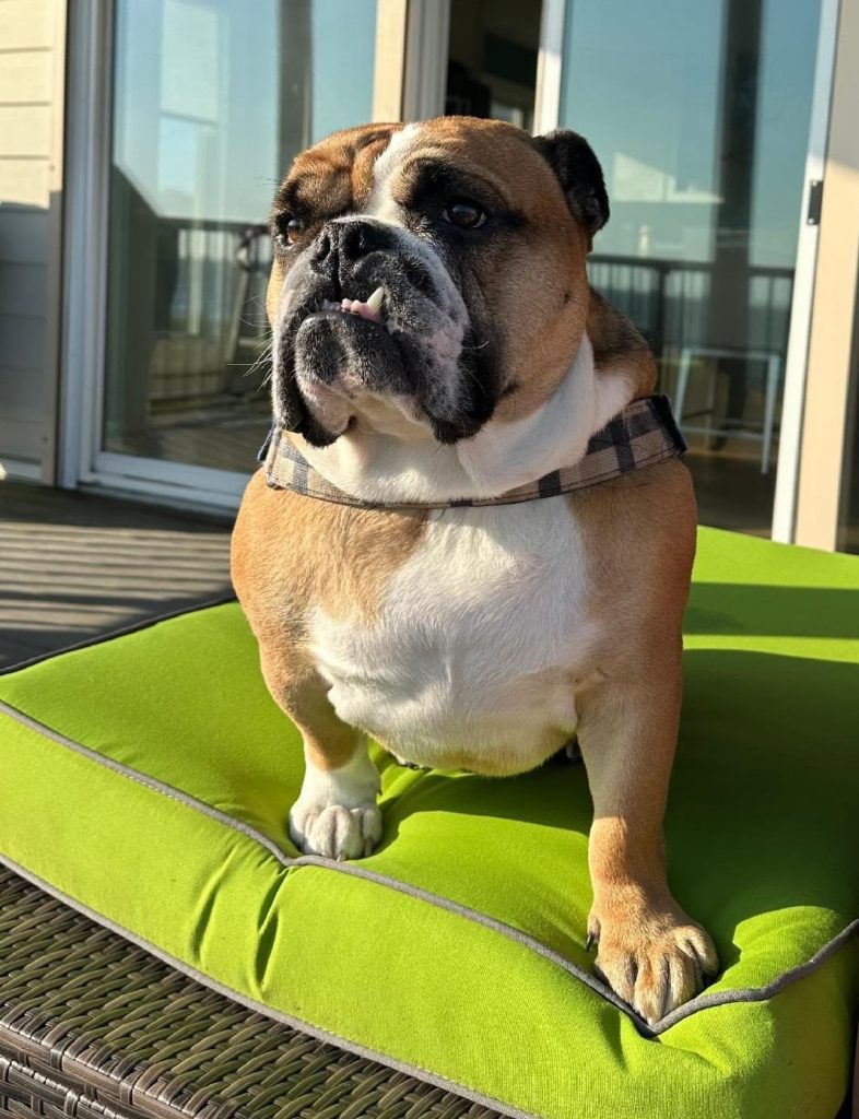 Oxford sunning