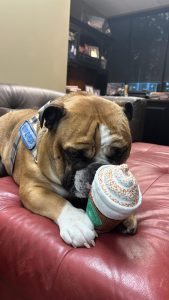 oxford ice cream cone toy